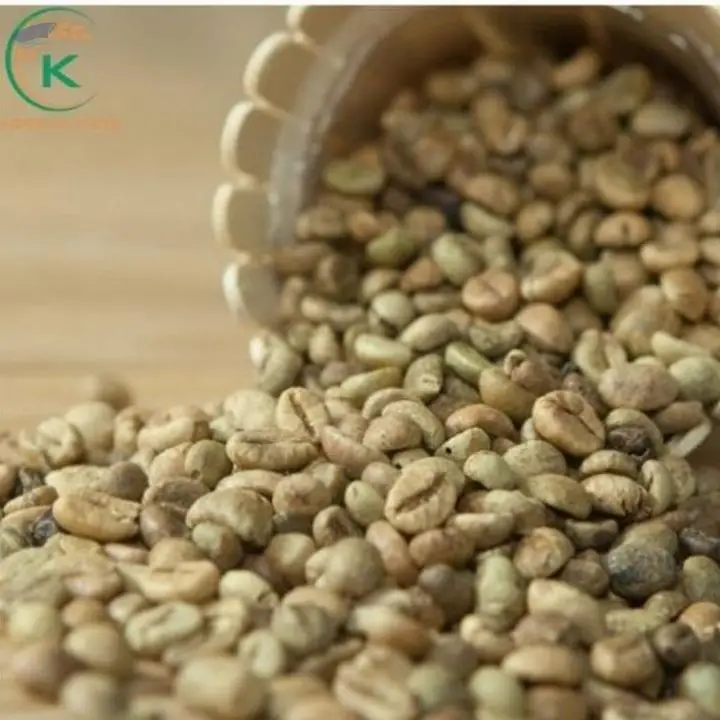 Best Price Coffee Robusta Green Coffee S16-18