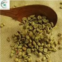 Best Product Coffee Arabica Cau Dat Dalat