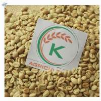 Bean Green Bean Coffee S16 Coffee Arabica