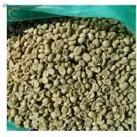 Coffee Beans Good Price Robusta Lam Dong