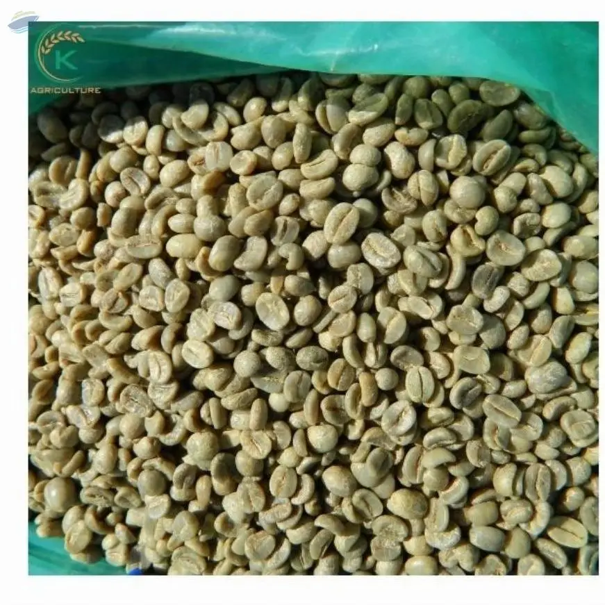 Coffee Beans Good Price Robusta Lam Dong