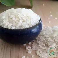 Vietnam Japonica Fresh 5% Standard White Rice