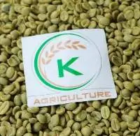 Grade 1 Washed Coffee Arabica Green Beans Coffee