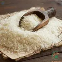 Excellent IR504 Vietnam White Grain Rice