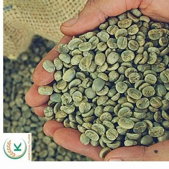 High Grade Coffee Arabica Lam Dong S18