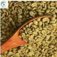 Hot Sale Coffee S13 Coffee Arabica Commercial
