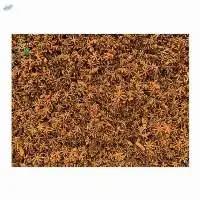 High Ranking Broken Star Anise