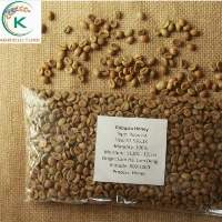 Maturity 100 Coffee Green Beans Robusta Coffee