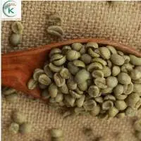 Best Vietnamese Coffee Arabica