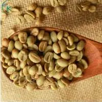 Hot Coffee Vietnam Robusta Coffee Bean