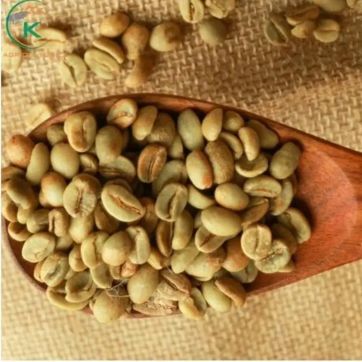 Hot Coffee Vietnam Robusta Coffee Bean