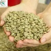 First Grade Coffee Arabica From Vietnam
