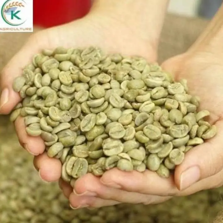 First Grade Coffee Arabica From Vietnam