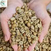 R1, S16-18 Coffee Robusta Coffee Imported