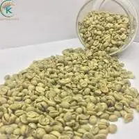 Coffee Arabica  