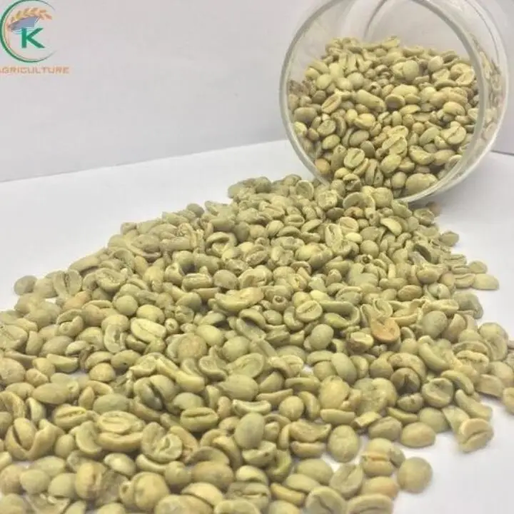 Coffee Arabica  