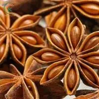 Aromatic Natural Star Anise Vietnam Broken 10%