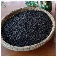 Tasty And Fragrant Black Pepper 570GL Vietnam