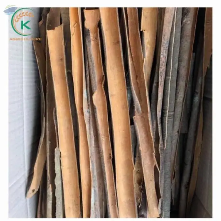 Hot Split Cassia Cinnamon Vietnam