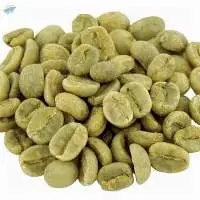 Vietnam Arabica Specialty Coffee G1, S18