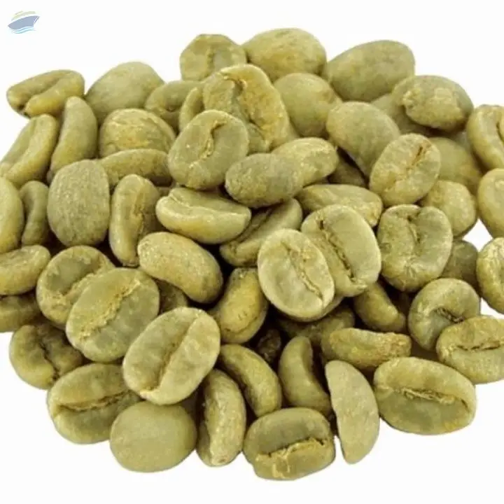 Vietnam Arabica Specialty Coffee G1, S18