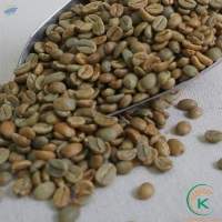 Robusta Coffee Green Beans G1, S18