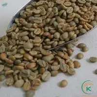 Robusta Coffee Green Beans G1, S18