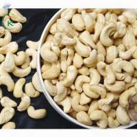 Vietnam Cashew Kernels W180