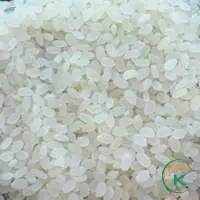 Vietnam Japonica White Rice