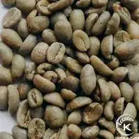 Vietnam Robusta Coffee Green Beans Honey Process