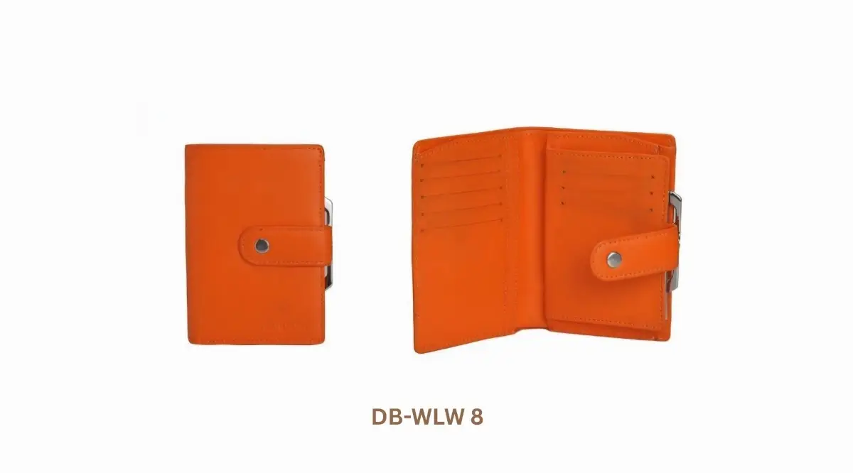 DB-WLW 8