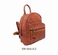 DB-WALB 2