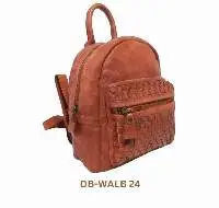 DB-WALB 24