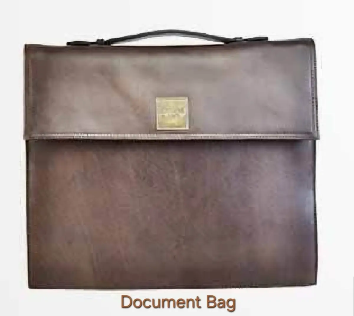 Document Bag