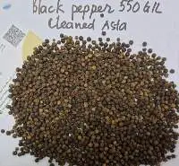 Pepper