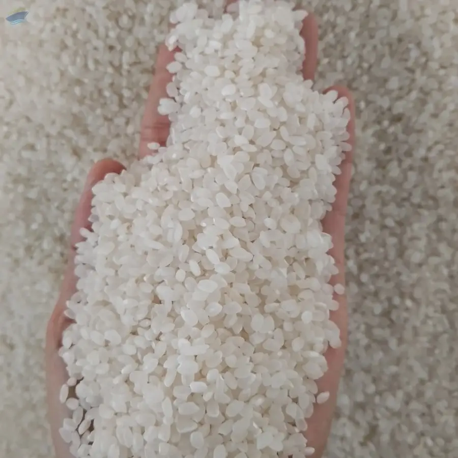 Sushi rice