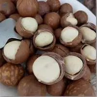 Macadamia Nuts - Vietnam Origin