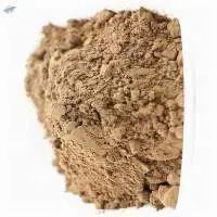 Oyster Extract