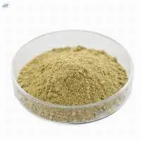 Maltodextrin