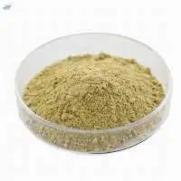 Soybean Extract, Soybean Isoflavones