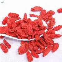 Wolfberry Extract, Goji Extract