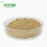 Green Tea Extract