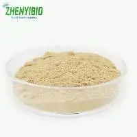 Green Coffee Bean Extract