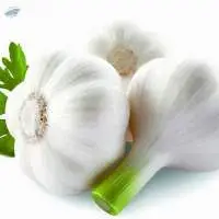 Garlic Powder