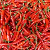 Chili Powder