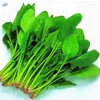 Spinach Powder