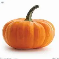 Pumpkin Powder