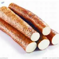 Chinese Yam Powder
