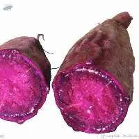 Purple Sweet Potato Powder