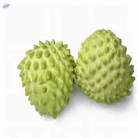 Soursop Powder
